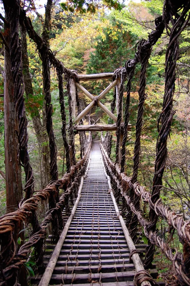 Misty Iya Valley vine bridge